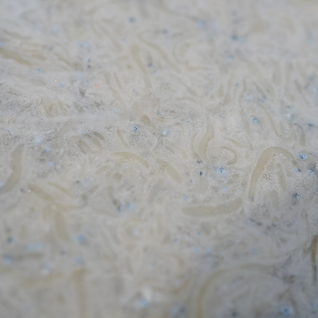 しらす干し 500g