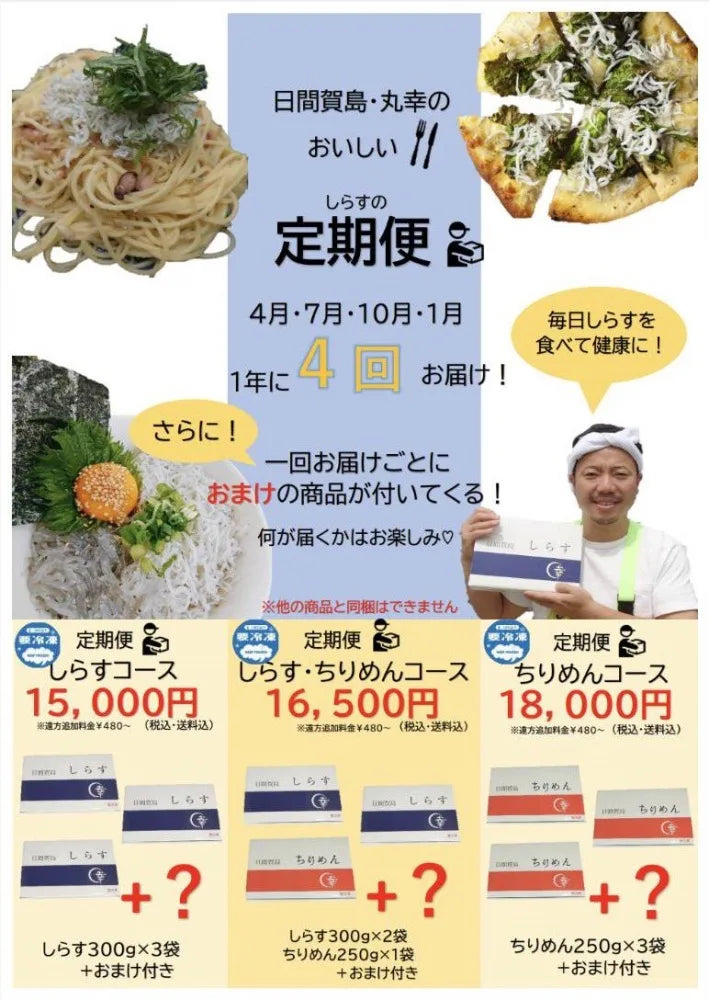 定期便4回コース