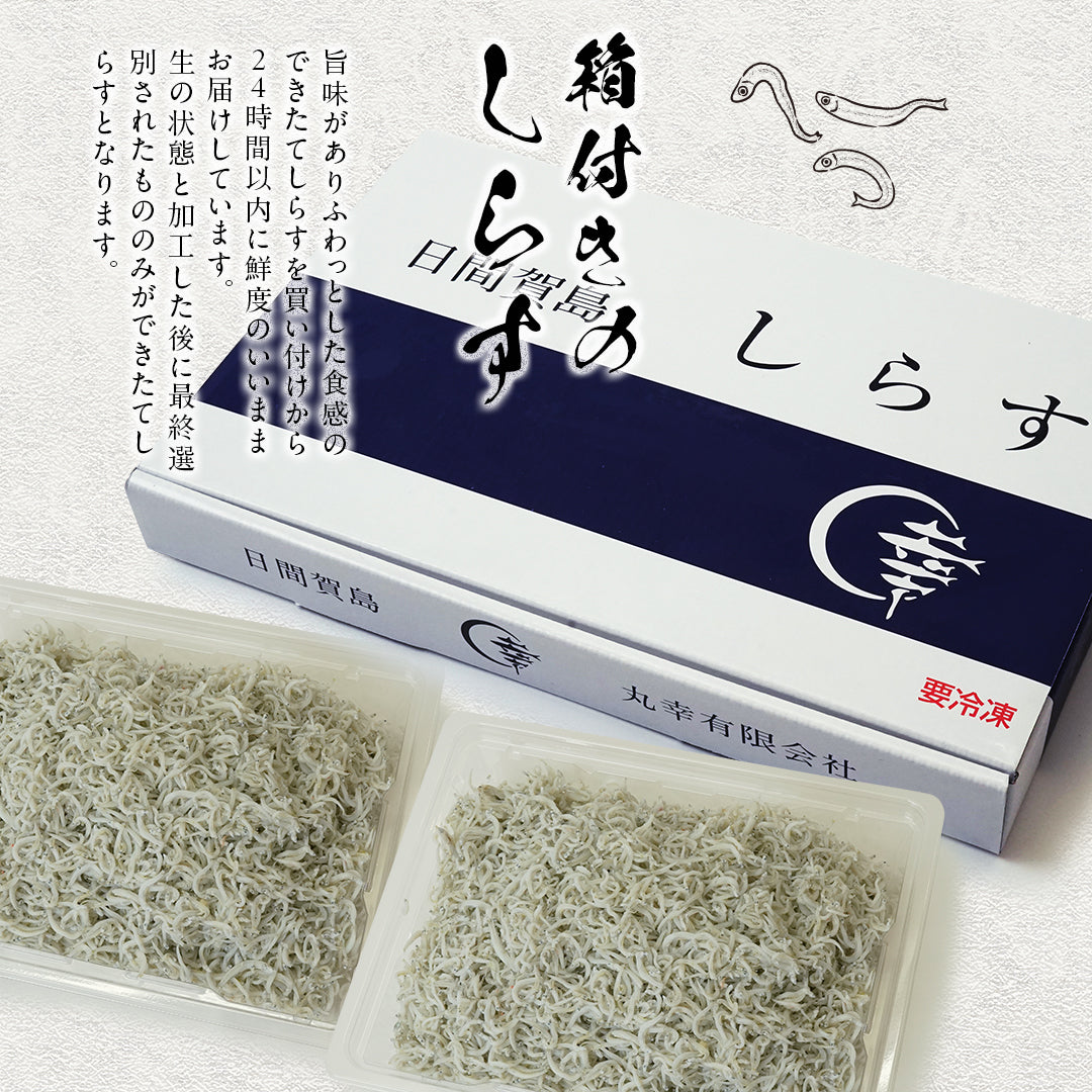 箱つきしらす