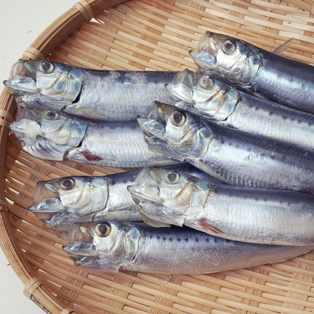 いわしの丸干し(8尾入)