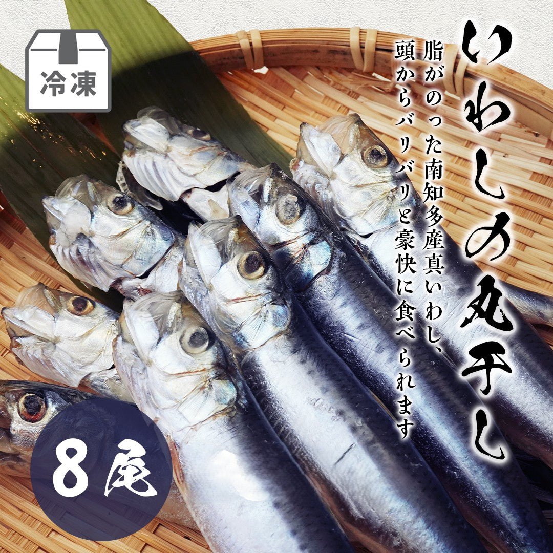いわしの丸干し(8尾入)