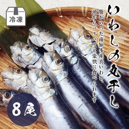 いわしの丸干し(8尾入)
