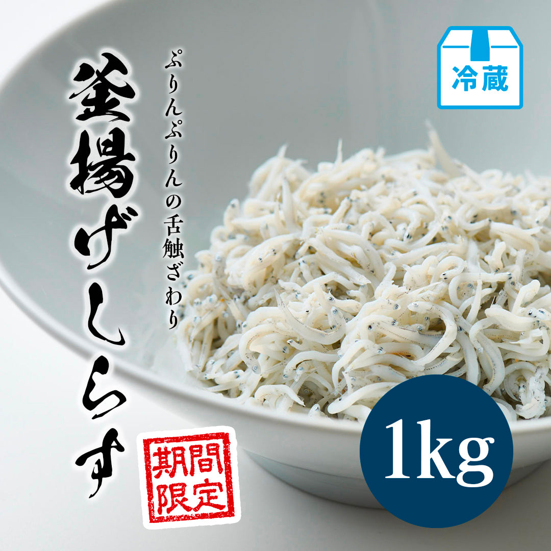 釜揚げしらす 1kg【期間限定】
