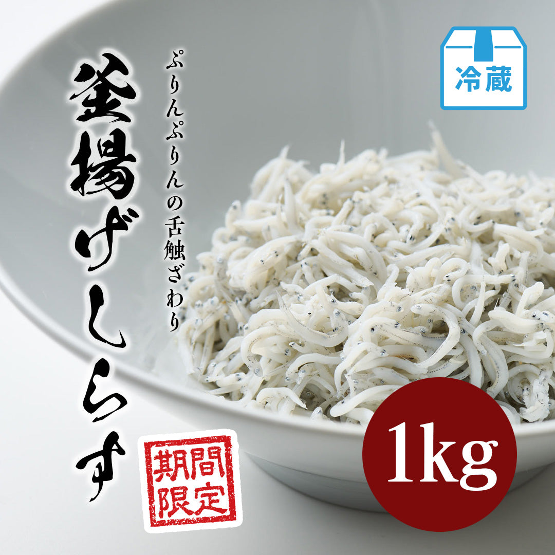 釜揚げしらす 1kg【期間限定】