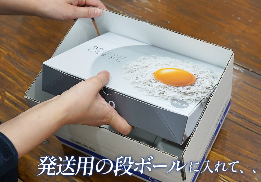 できたてしらす1kg