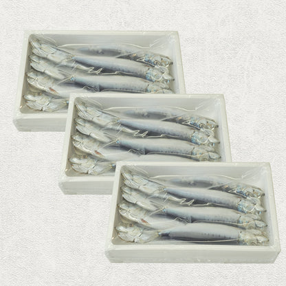 いわしの丸干し(8尾入)×3セット