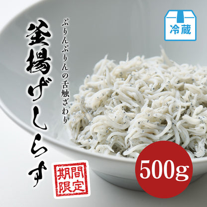 釜揚げしらす 500g【期間限定】
