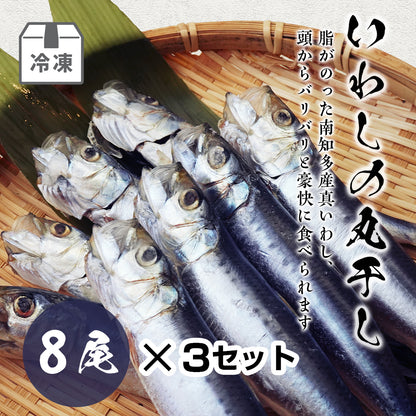 いわしの丸干し(8尾入)×3セット