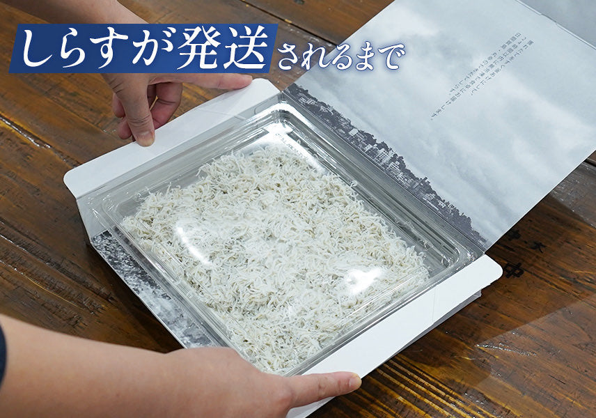 できたてしらす1kg